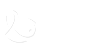 https://www.memecerrahisibursa.com/wp-content/uploads/2024/02/VolkanLogoBeyaz-320x180.png